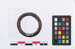 Foto von Bronzering (NHMW-PRAE-078097)